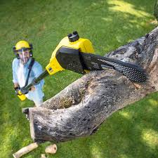 Best Lawn Maintenance Plans  in Cleves, OH